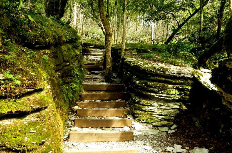 В роще очень много уютных и прекрасных уголков 