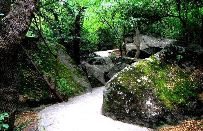 Прогулка в Верхнем парке Воронцовского дворца доставит массу удовольствия
