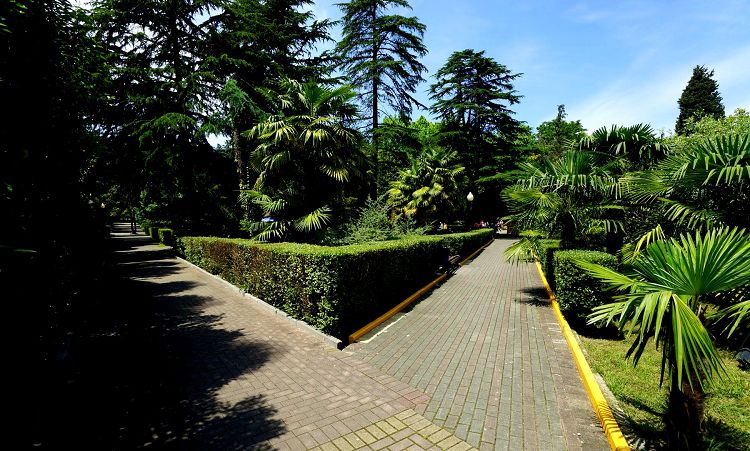 Основные аллеи парка были сформированы В.Хлудовым