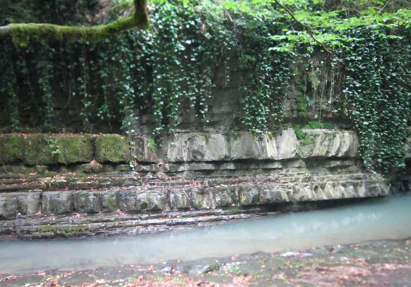 В прохладе леса течет река Дикарка, образующая Змейковские водопады