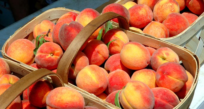 Увезти с собой сладкие и ароматные фрукты хочется всем Увезти с собой сладкие и ароматные фрукты хочется всем