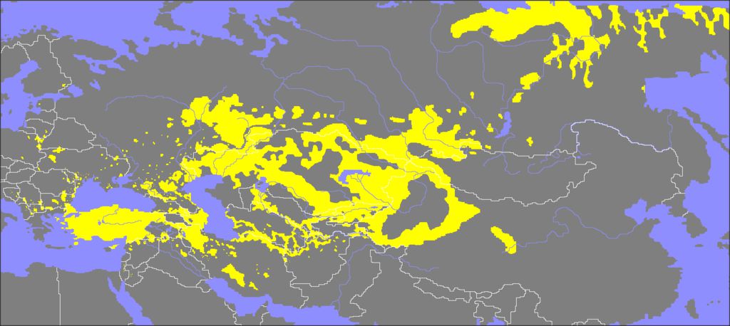 Сегодня тюркоязычные народы занимают внушительные территории