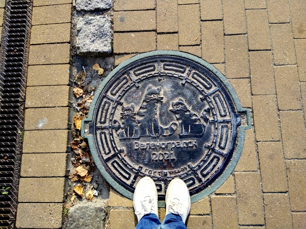 Изображения кошек в Зеленоградске есть повсюду - даже на канализационных люках!