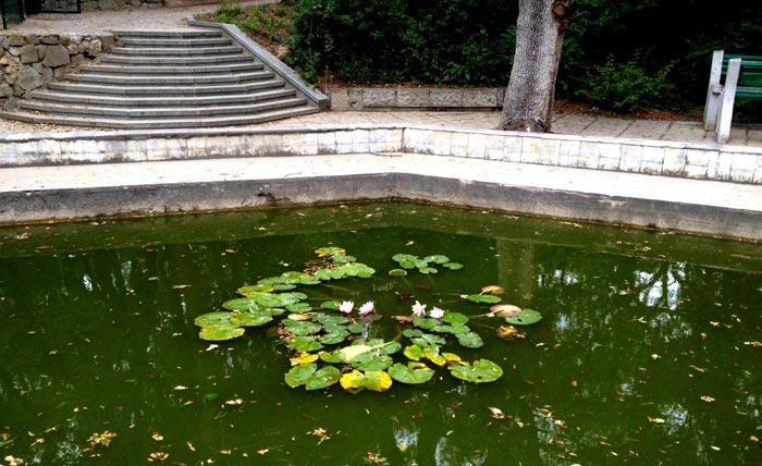 Романтика Мисхорского парка