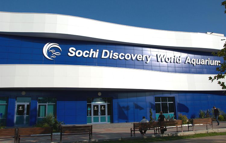 Посетить Адлерский океанариум надо обязательно
