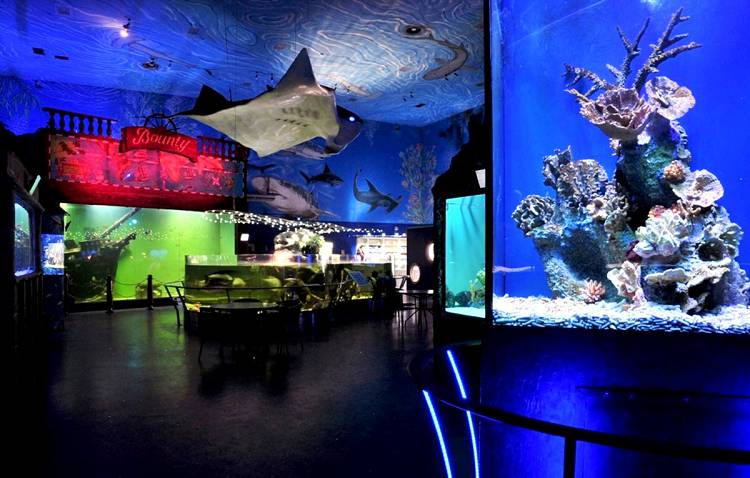 В Пражском Океанариуме можно на время забыть о зиме