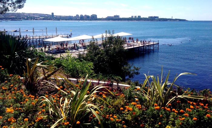 Территория вокруг пляжа "Сосновая роща" приятно радует глаз