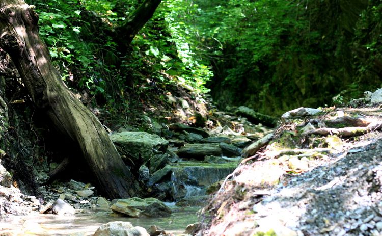 Ольгинка находится на территории Агрийского природного заказника