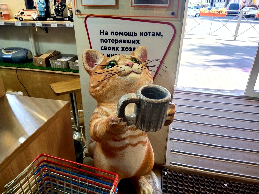И обязательно позаботьтесь о бездомных йошкар-олинских котах И обязательно позаботьтесь о бездомных йошкар-олинских котах