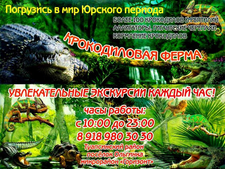 Вывеска крокодиловой фермы