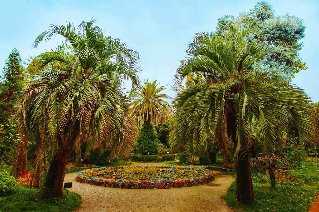 Тропический сад - лучшее место для прогулок