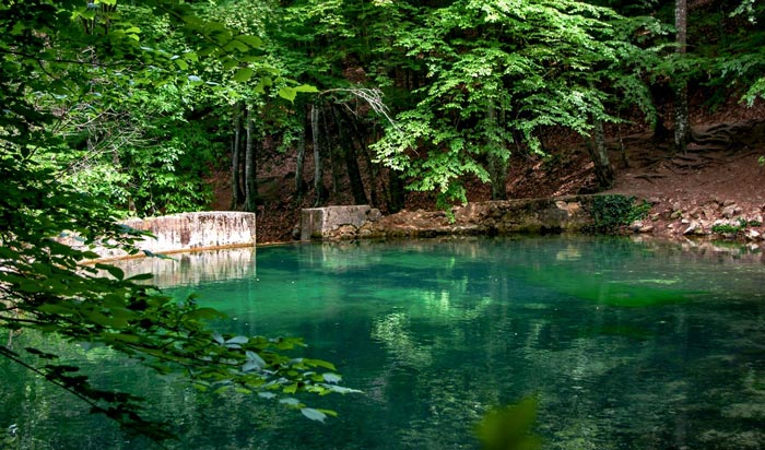 Заброшенный Юсуповский пруд выглядит очень привлекательно
