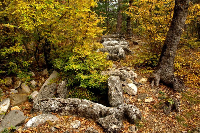 Крым царская тропа фото