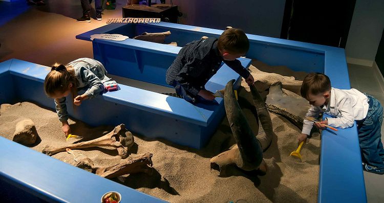 В Музее Гигантов дети могут провести самостоятельные раскопки!