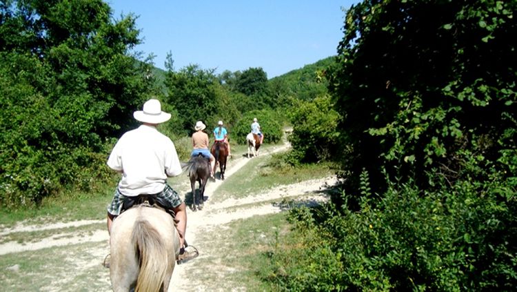 Хоть раз в жизни совершить поход верхом на лошади надо обязательно!