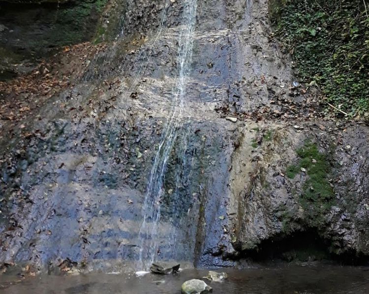 К Водопаду "Девичьи косы" оборудованной тропы нет