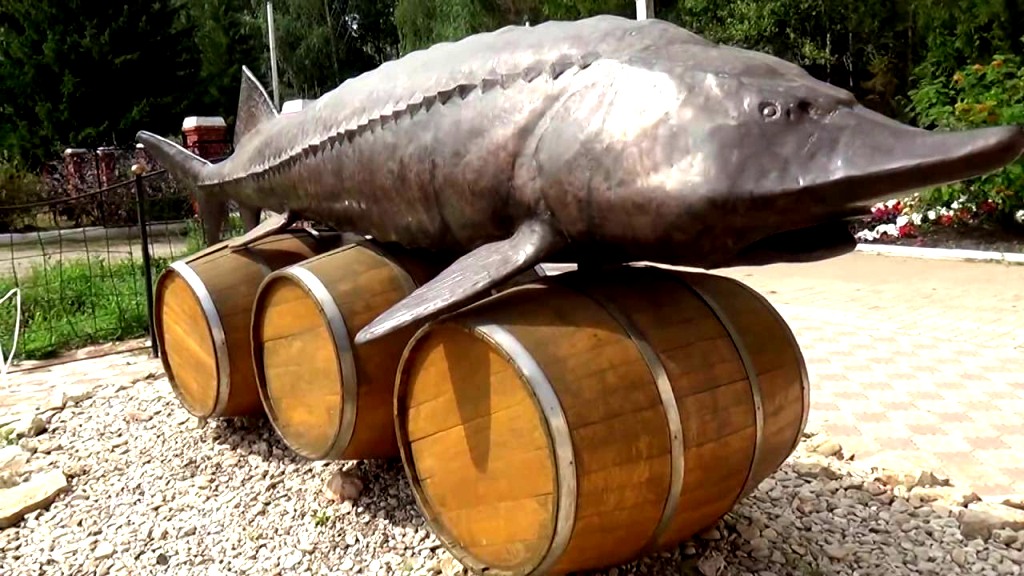 Создание Памятника Белуге имеет под собой реальную историю