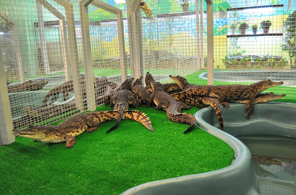 Обитатели Питерского зоопарка