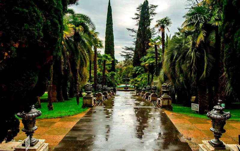 Прогуляться по Сочинскому дендрарию хорошо в любую погоду