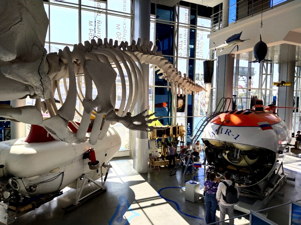 В главном музейном здании можно увидеть уникальные аппараты и скелеты