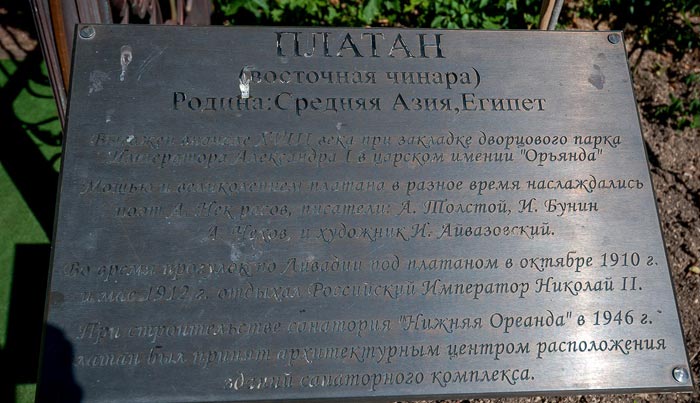 Платан имеет свою собственную информационную табличку