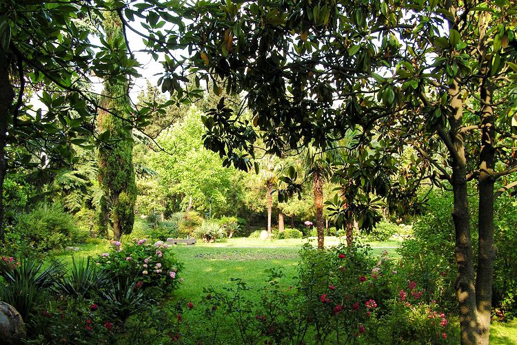 Атмосфера Центрального парка очень курортная и экзотичная