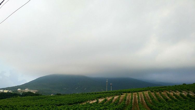 Кто знает, может старый колдун притягивает туманы, чтобы они пролились дождем