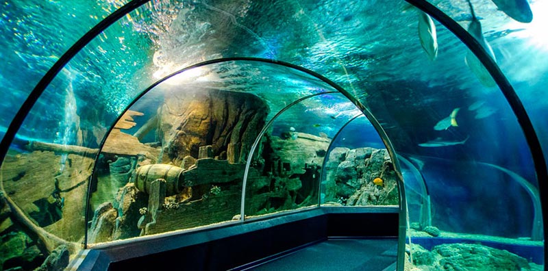 Океанариум Sochi Discovery World Aquarium Океанариум Sochi Discovery World Aquarium