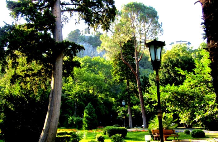 Аллеи бывшего дворцового, а ныне санаторного парка Ореанды