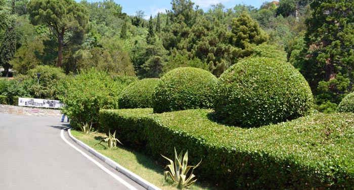 Парковая территория была оформлена еще в первой половине 19 века