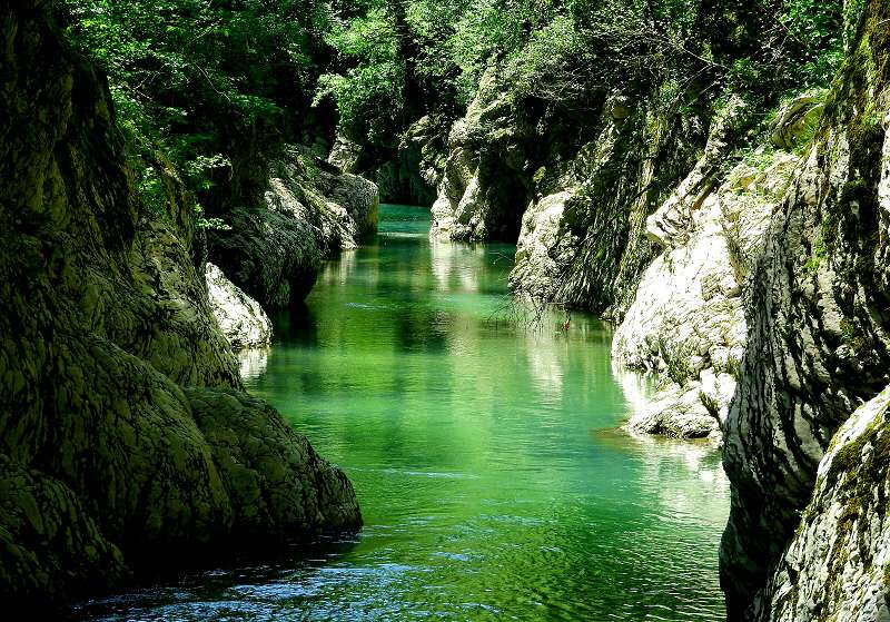 Цвет Хосты в каньоне бывает иногда просто фантастическим