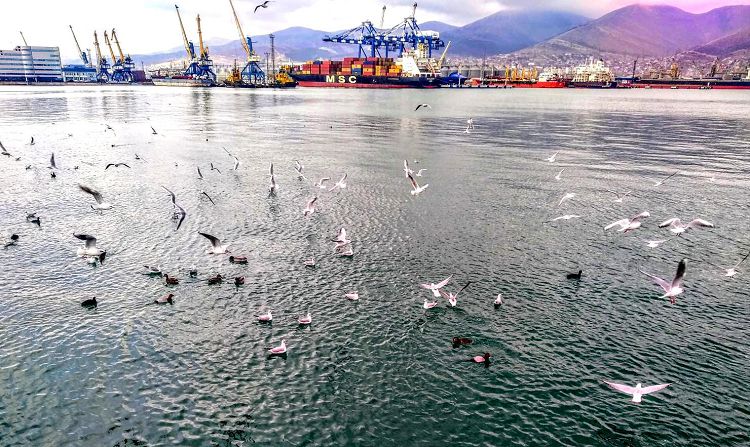 И здесь открываются прекрасные виды на портовую акваторию Новороссийска