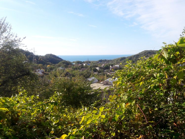 Дома поселка уютно скрываются среди изумрудной зелени