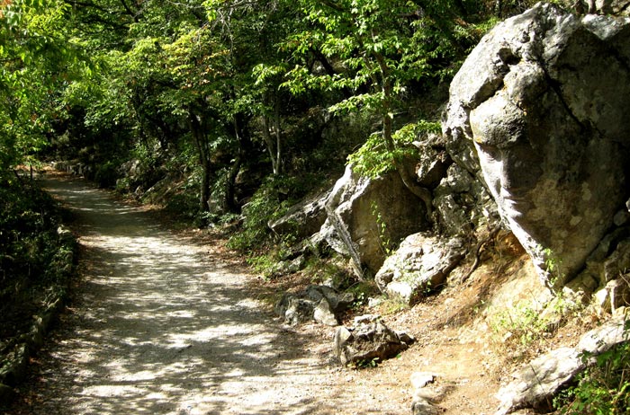 Каменная голова находится на тропе в районе поселка Курпаты